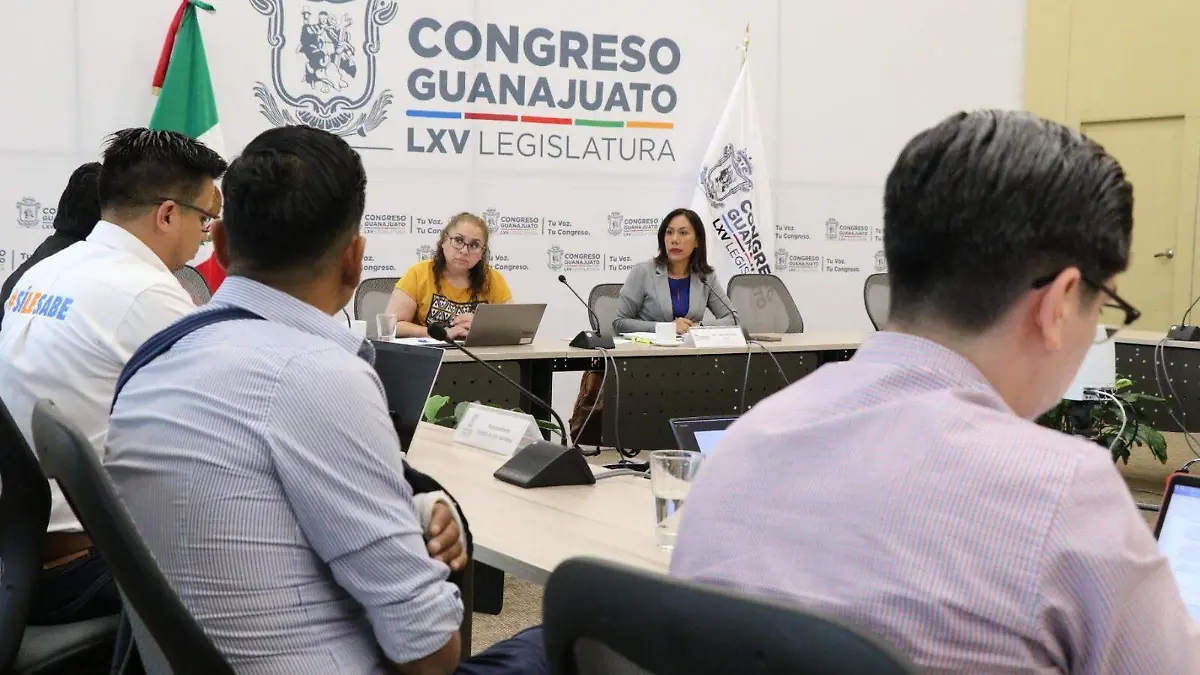 Guanajuato violentadores de mujeres podrian perder derechos electorales Foto Crescencio Torres (6)