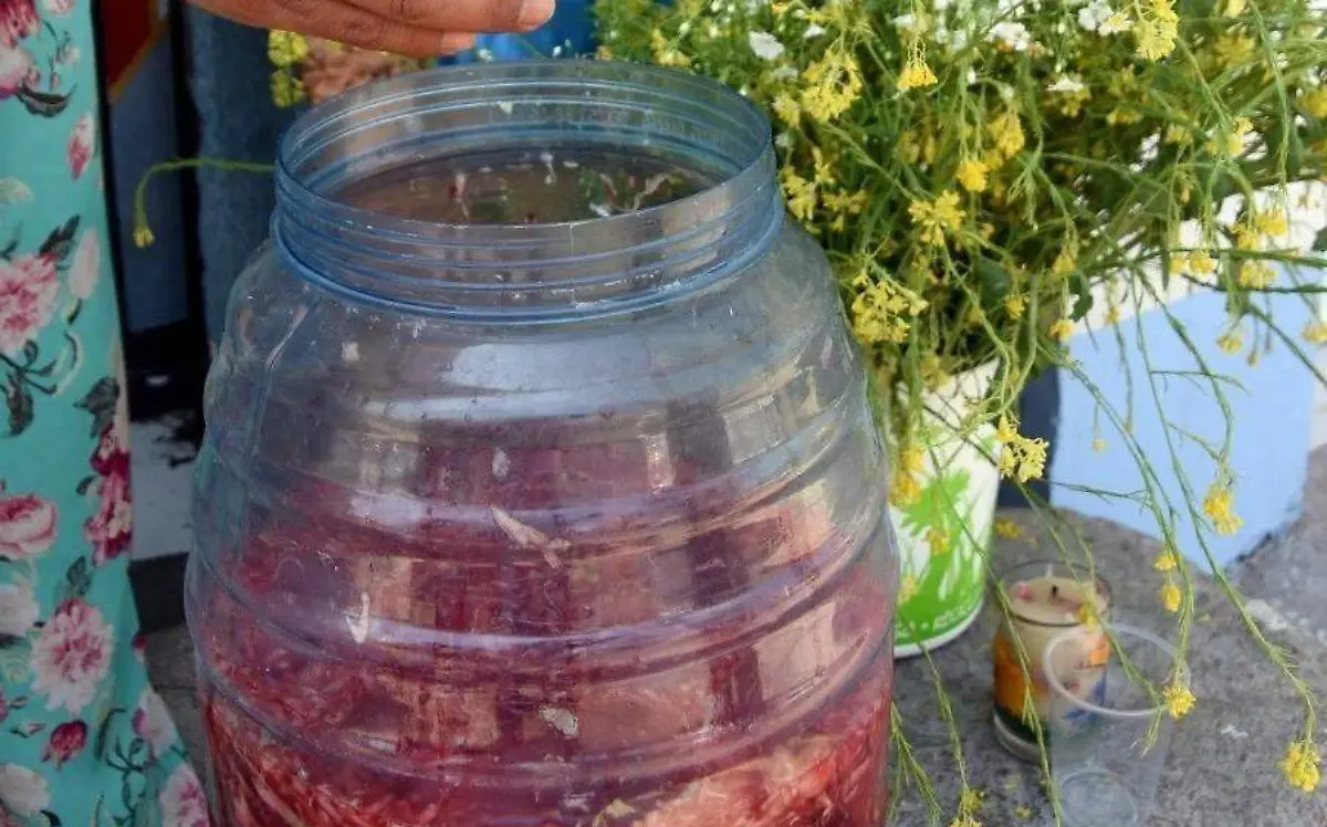 Agua-Dolores-5