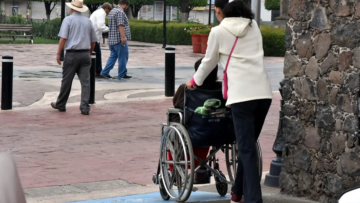 EQUINOTERAPIA SILLAS DE RUEDAS