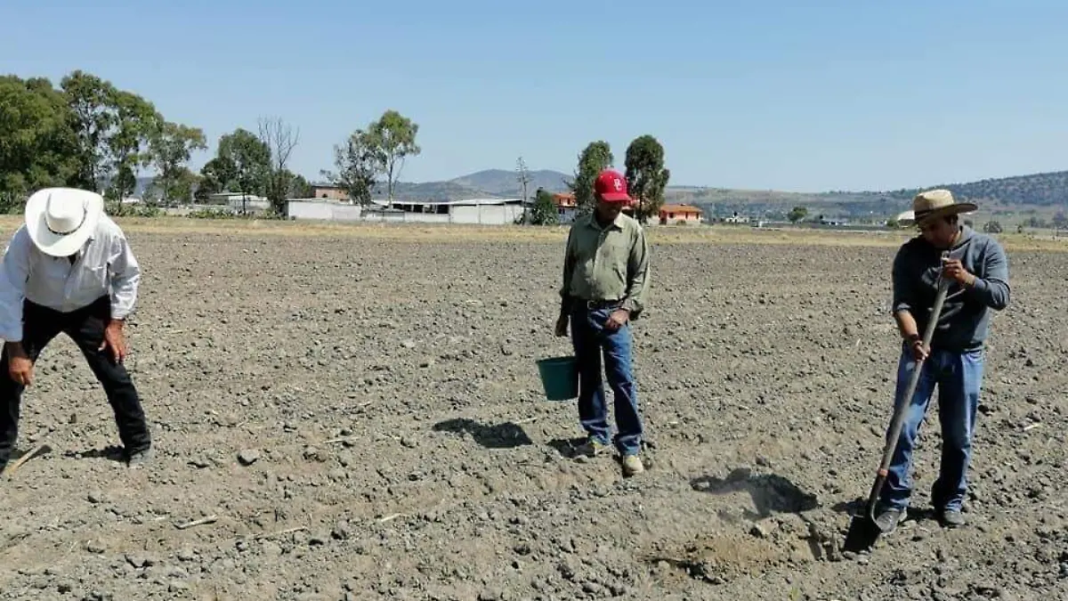 Expectativas en cuanto al envío de remesas  (2)