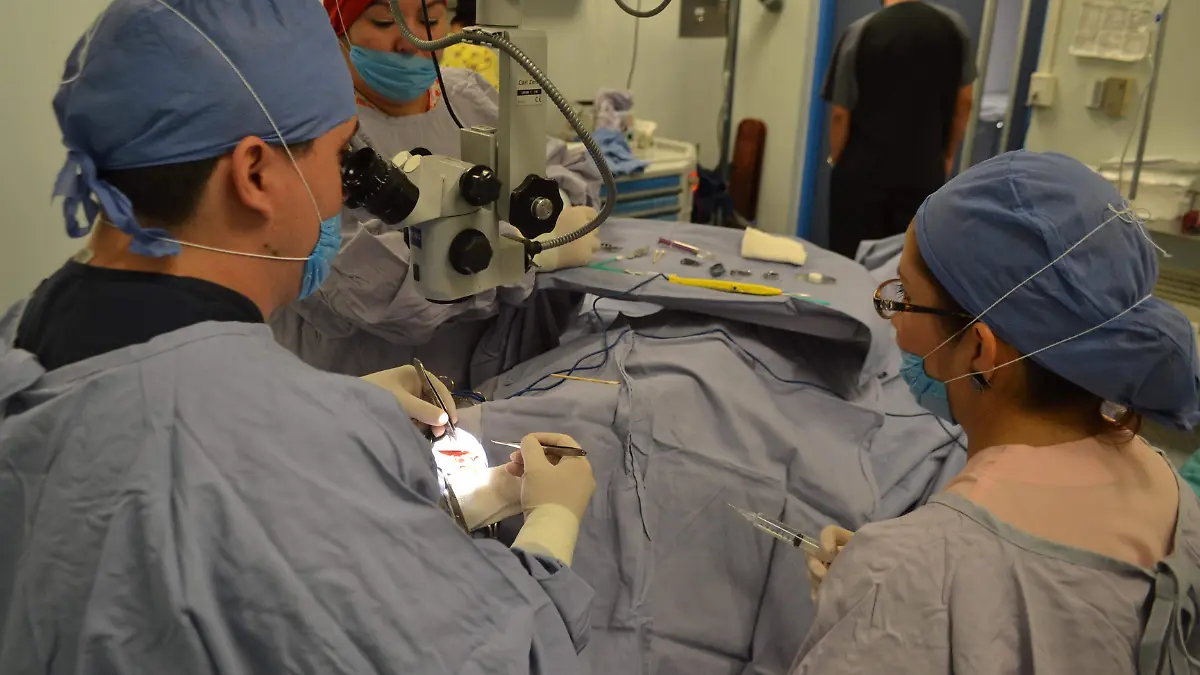 DONACIÓN ÓRGANOS (1)