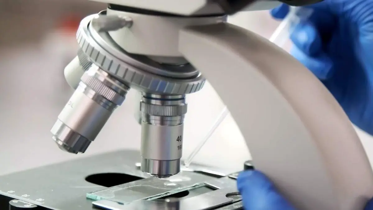 Debe-ser-Guanajuato-1-okokok 