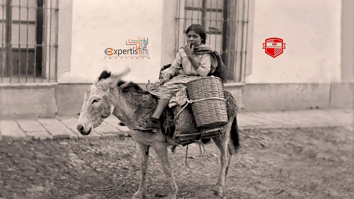 Foto 1 Irapuato 1902 Fresera y Burro