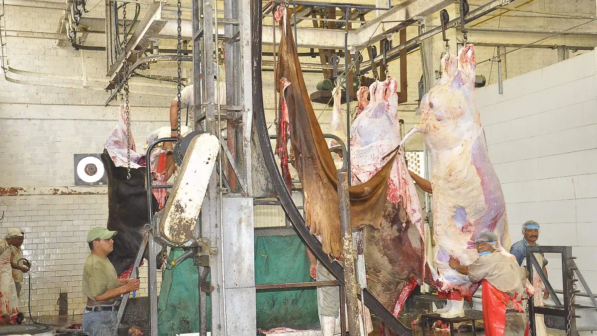 El-pasado-mes-de-diciembre-1-okokok