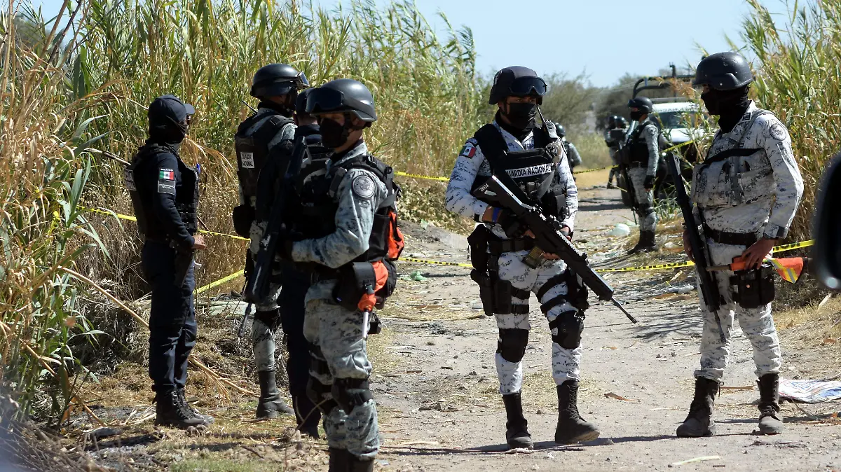 ALCANTARA SEGURIDAD (2)