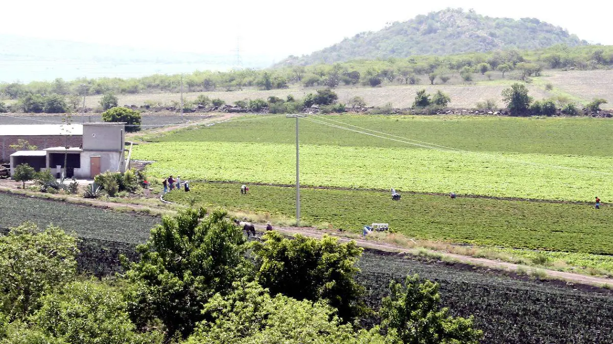 ROBO EN POZOS DE CAMPO (1)
