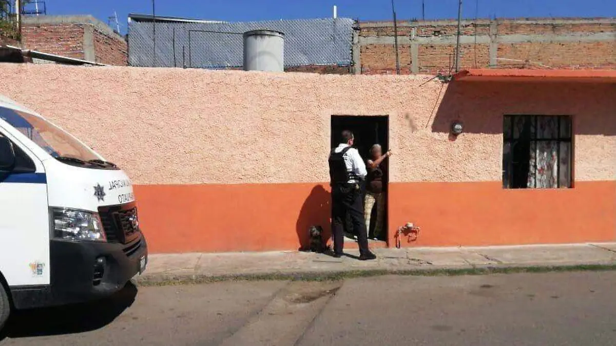 Dan-asesoría-a-dueña-de-mascota