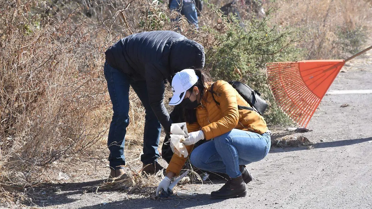 Las-acciones-ambientales