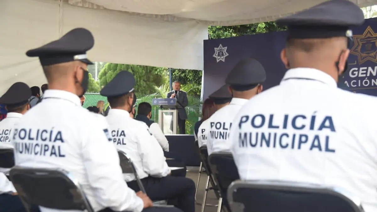 ALCALDE (2)