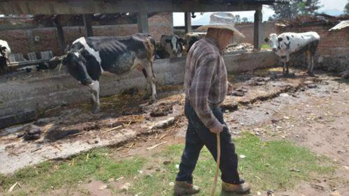 BRACEROS (1) OK