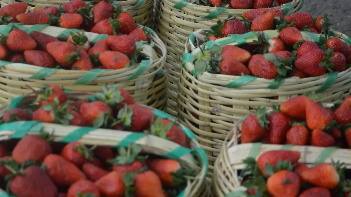 El precio de la canasta de fresa ha alcanzado los 150 pesos.