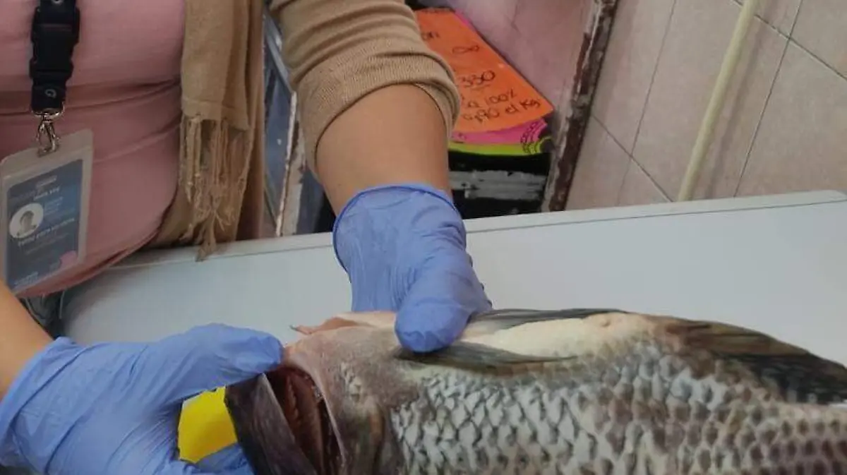 752c3d6f-91fa-479b-8de9-d0ac4a8c05a0