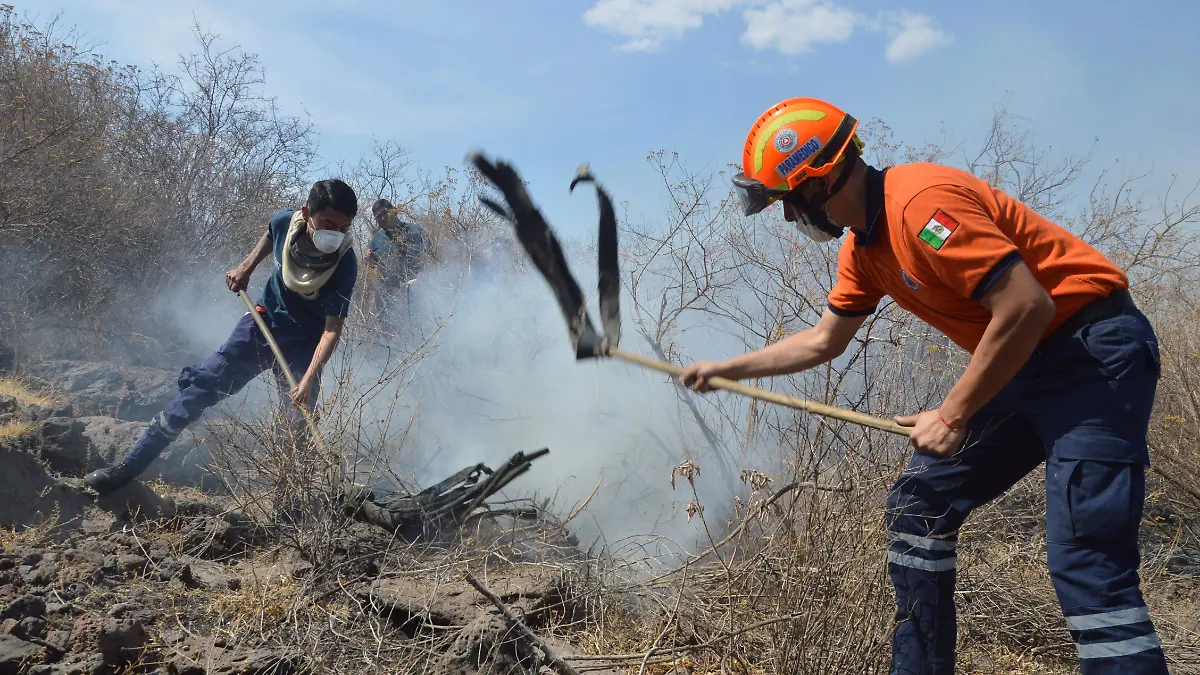 INCENDIOS (1)