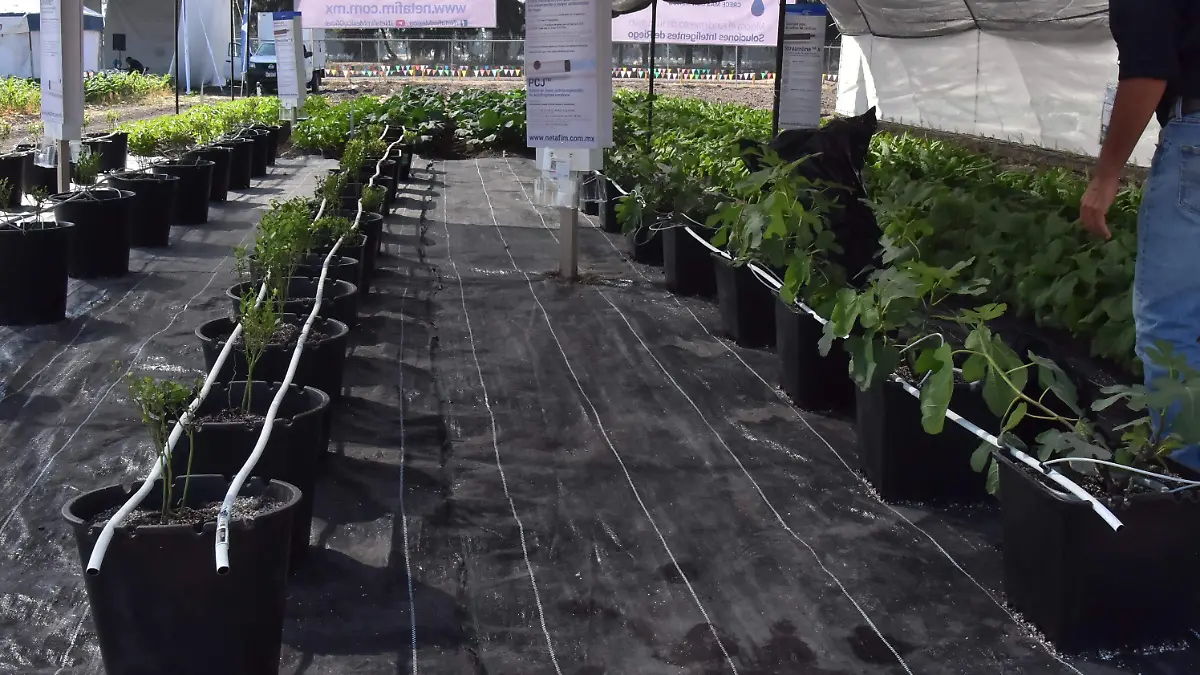 Sistema-de-riego-automatizado