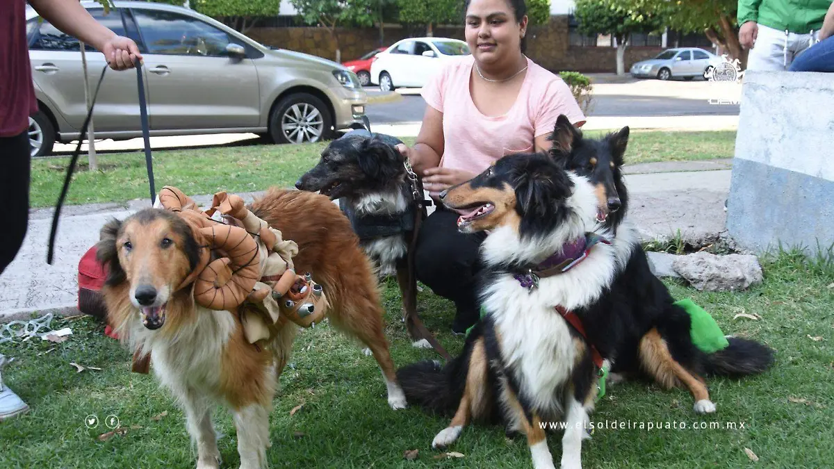 Todos-se-sumaron-4-okokok