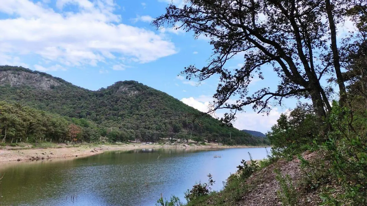 928054b3-9c39-49b6-b44a-ad7e92f8dbba