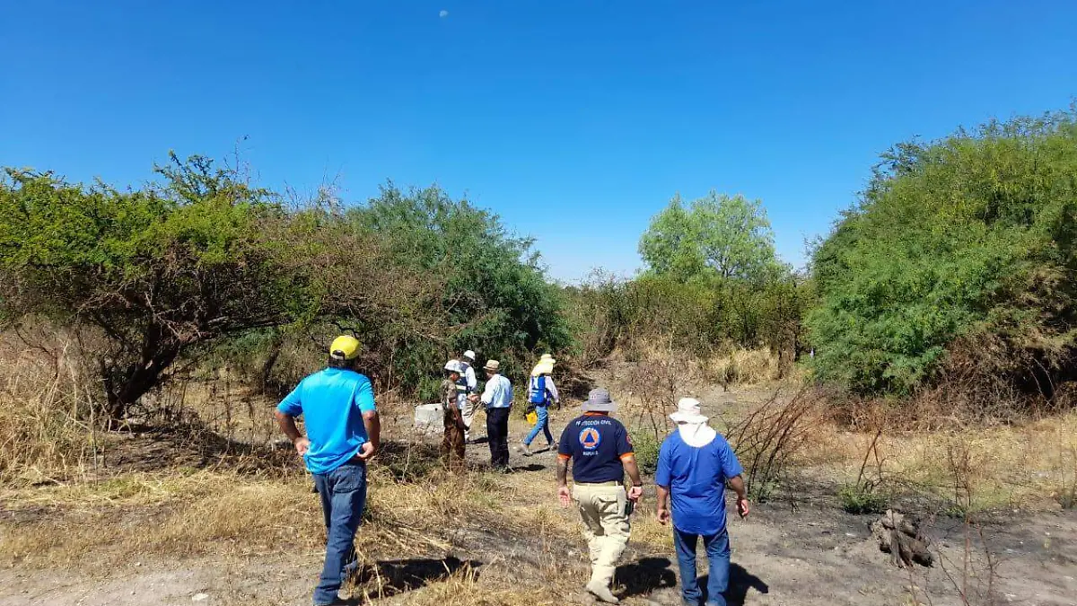 Buscan-reducir-accidentes