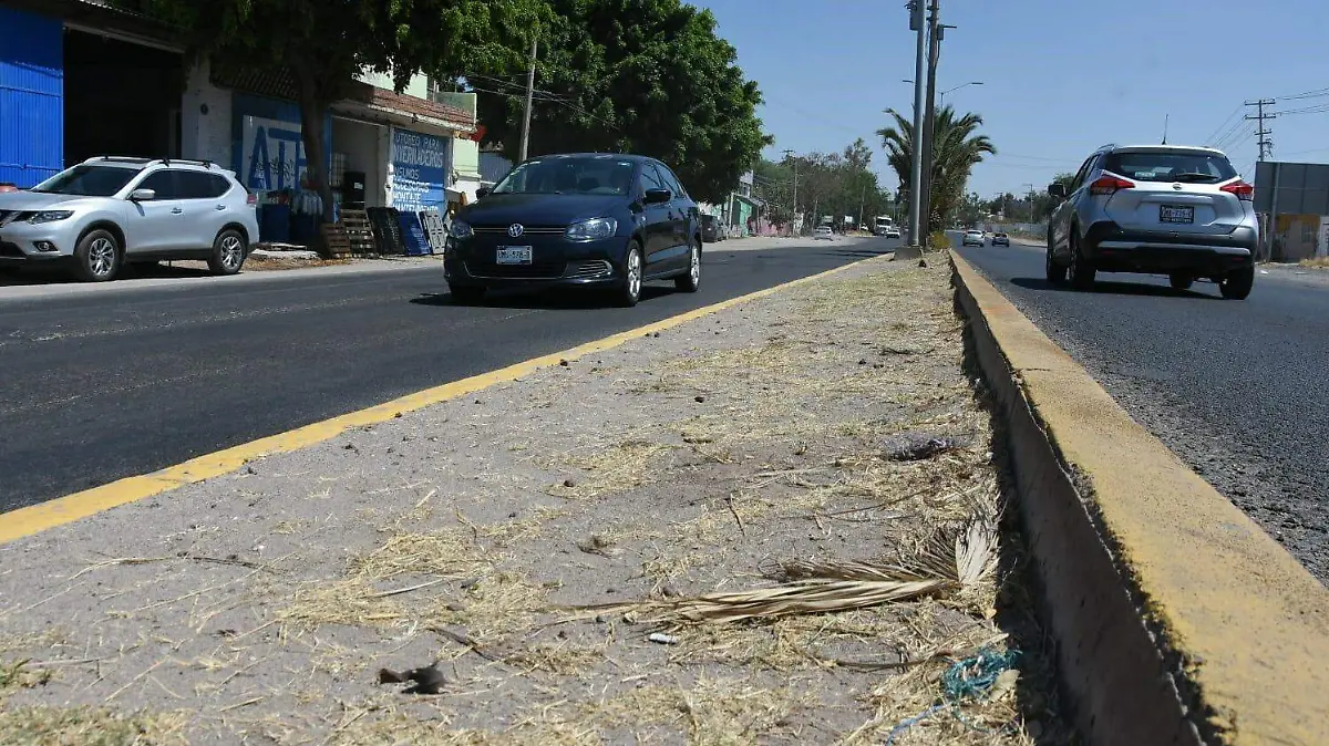 bulevar-Solidaridad  (2)