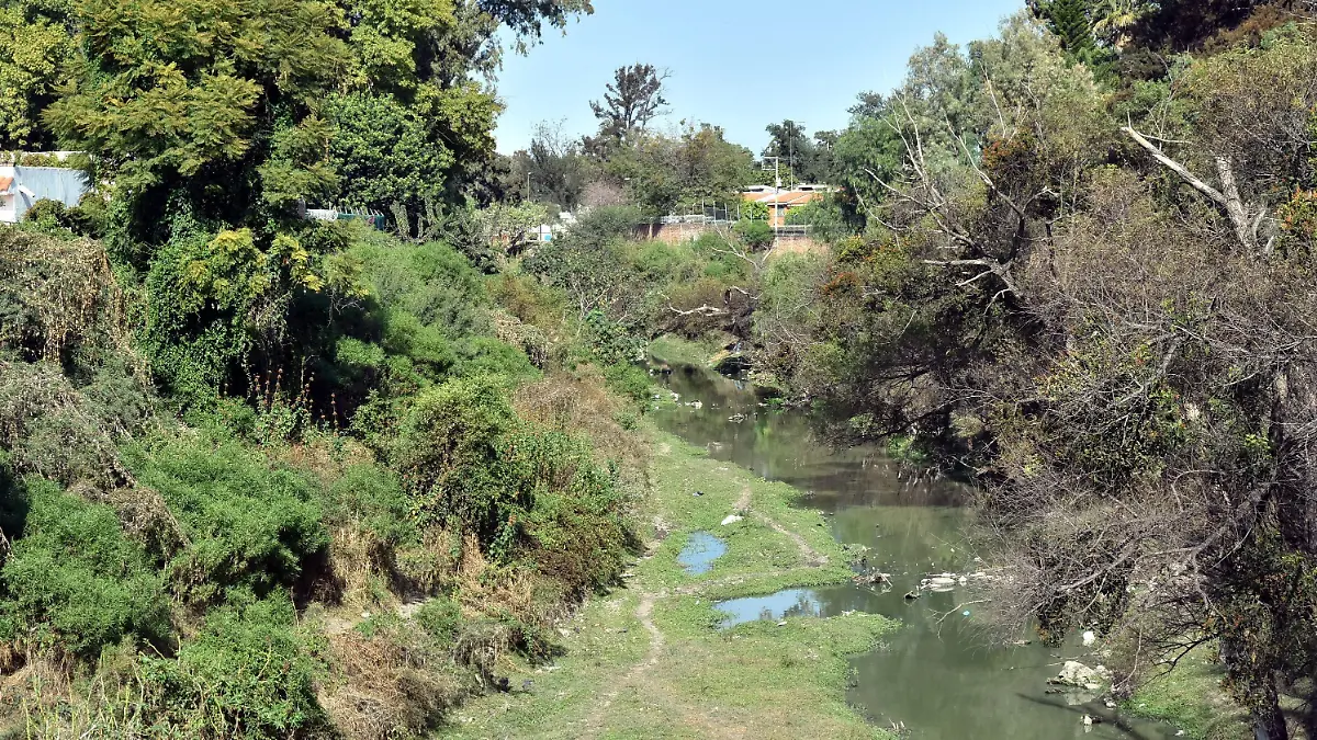 RIO-SILAO (3)