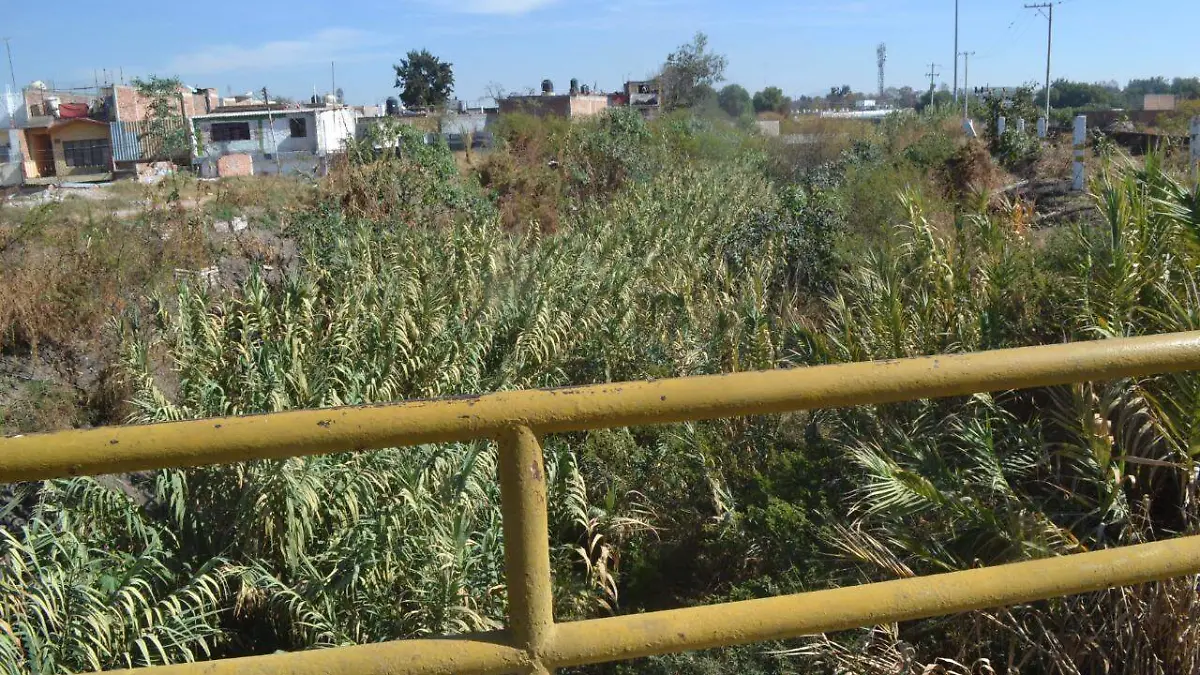 028bc388-85f5-45f5-a28d-f0b0bfa69987