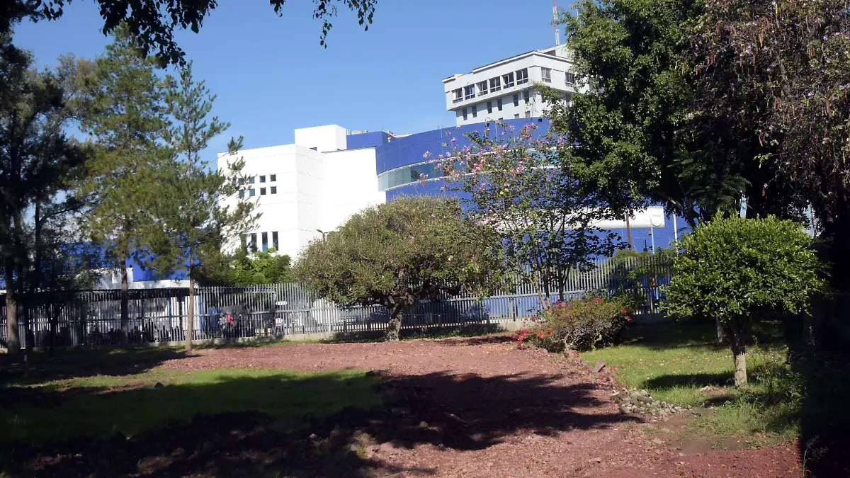 Será-necesaria-la-contratación