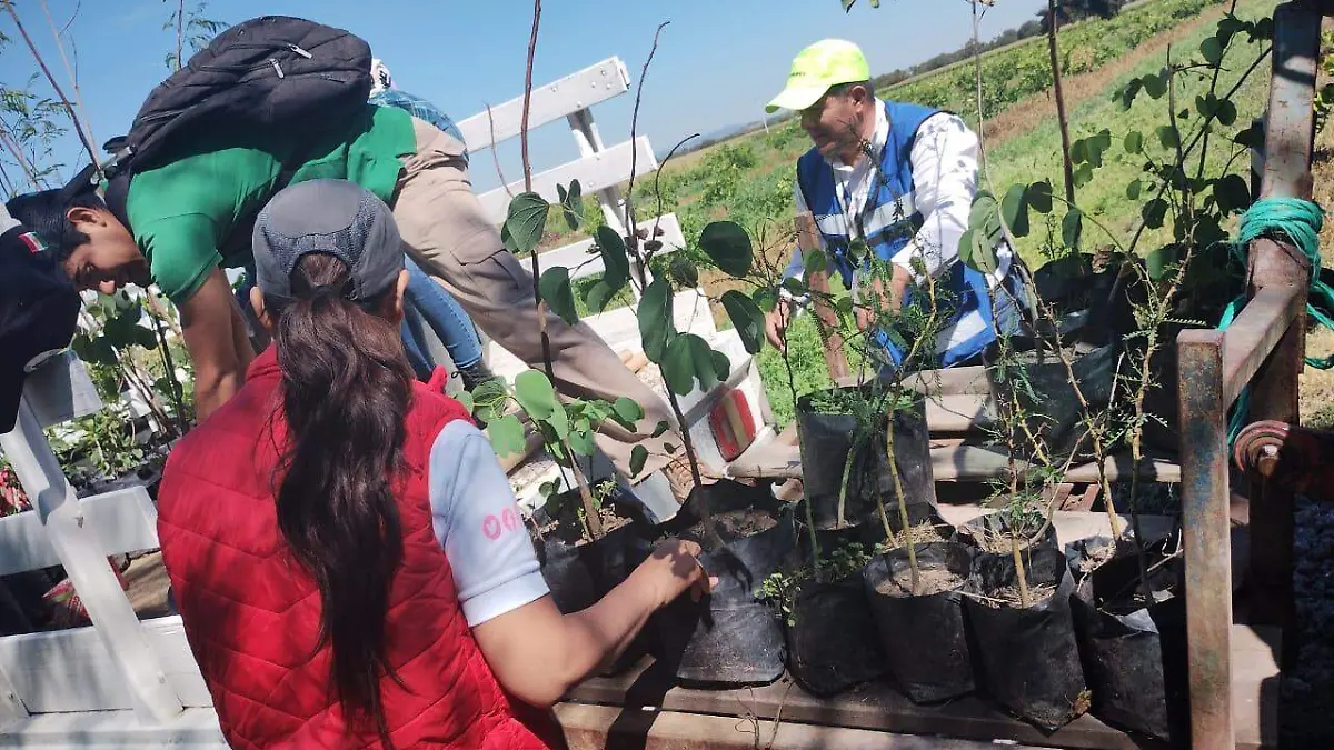 ACCIONES AMBIENTALES (2)