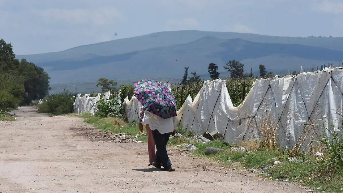 f98838ca-5215-4408-b23f-2f933d051aaa