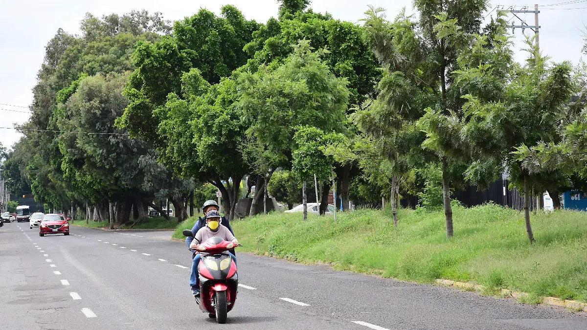 Llama-Obispo-a-cuidar-recursos-naturales (3)