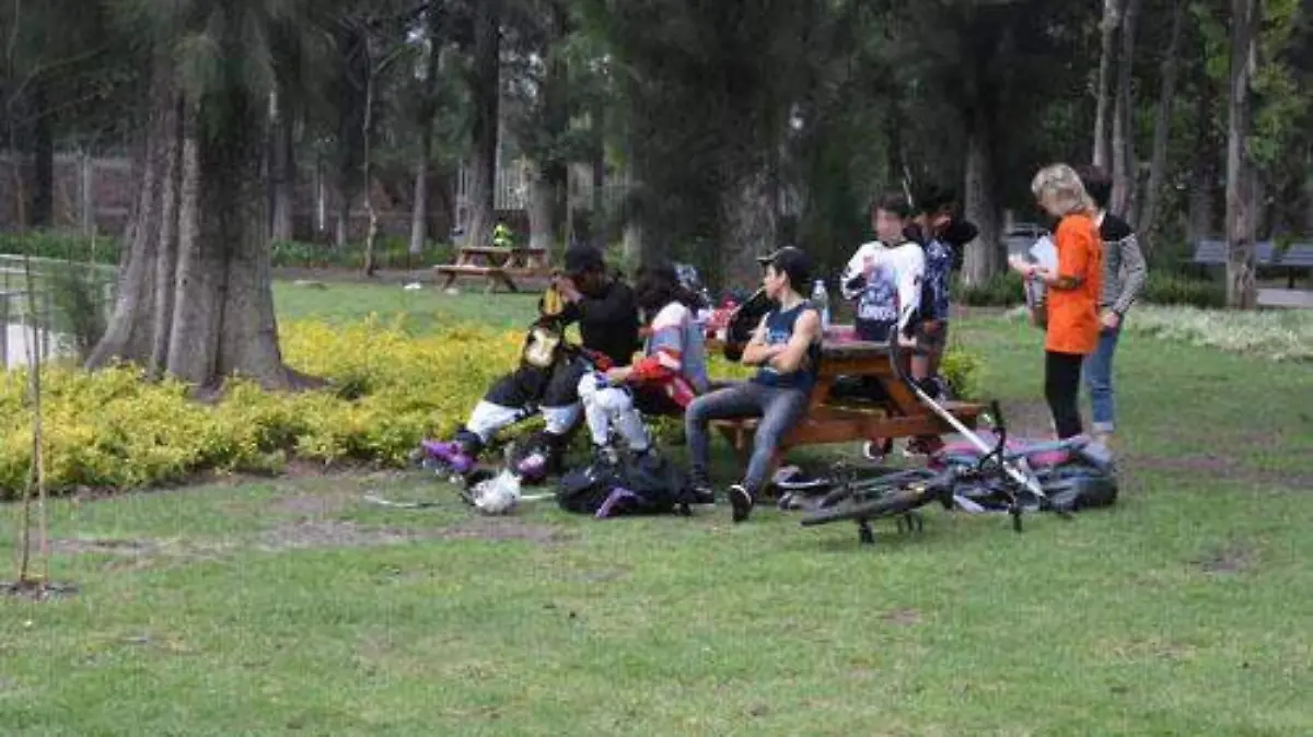 parque irekua (2) OK