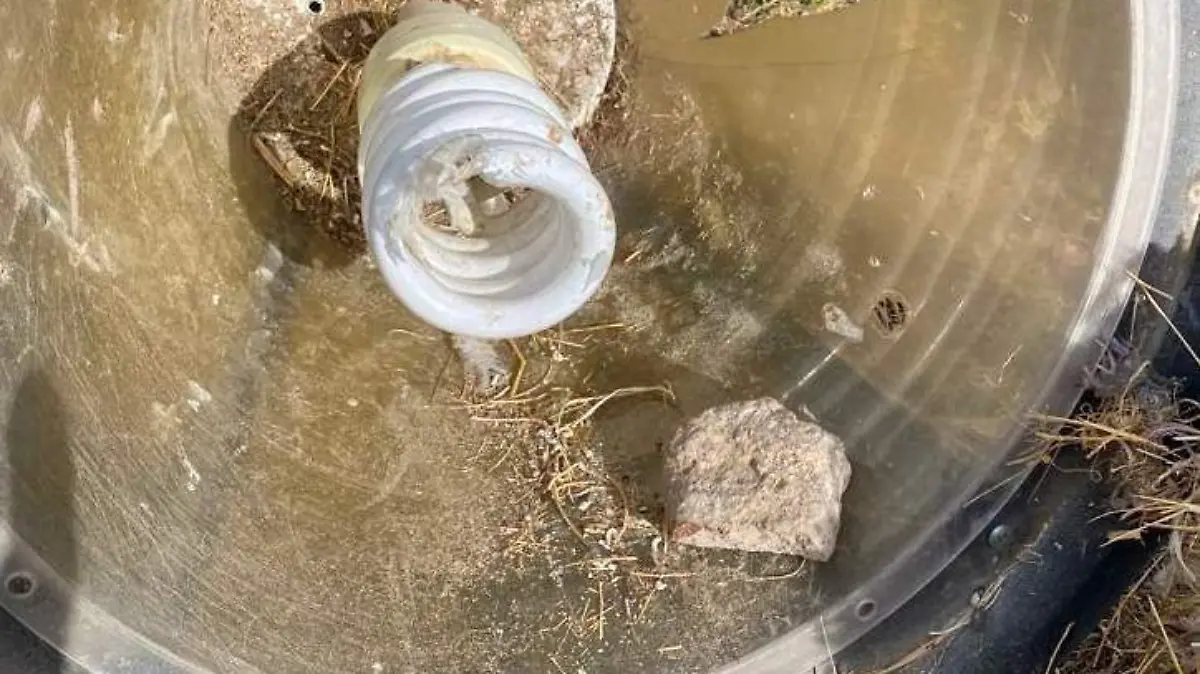 5e2f096e-4270-4456-8878-c50918fa2e15