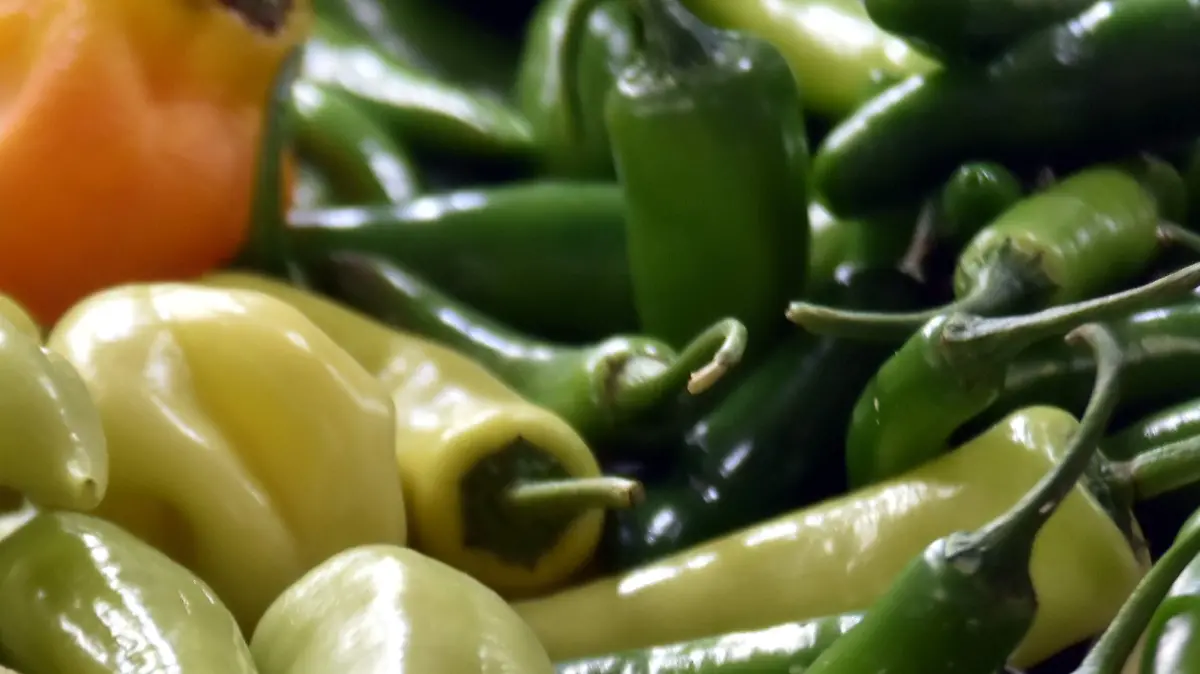 Alcanza-chile-serrano