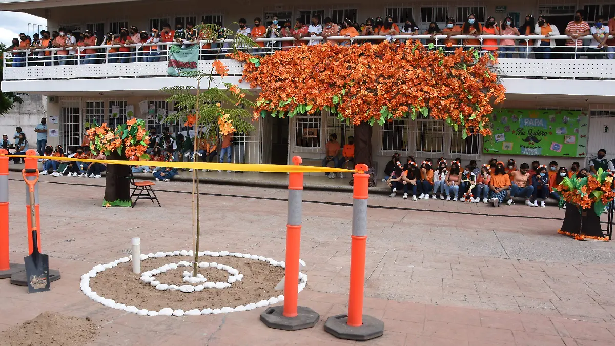 Alumnos-plantaron-okokok