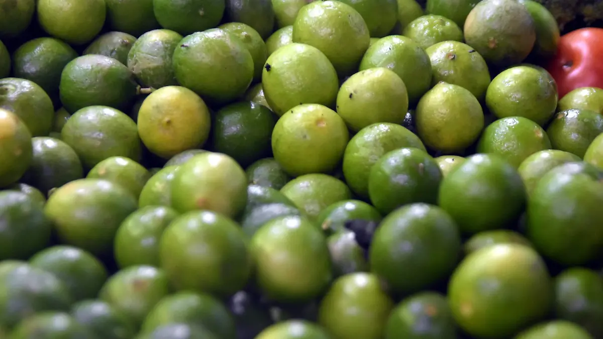 El-aguacate-por-los-cielos (3)