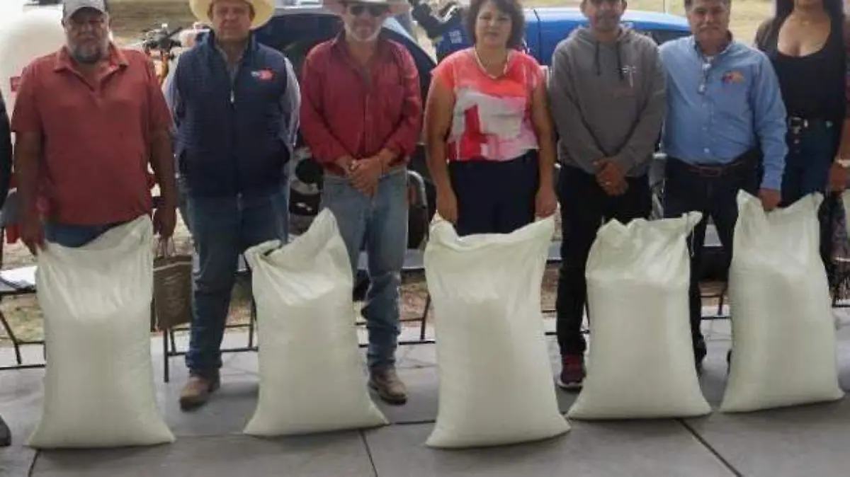 c0adf813-2ebd-4f6d-a734-f9e6dd34ce7f