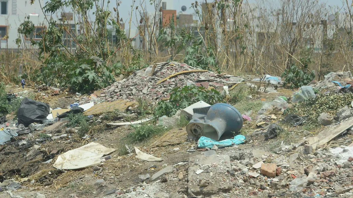 CONTAMINACIÓN GTO (5)