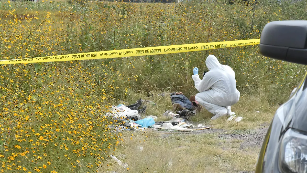 HOMICIDIOS (1)