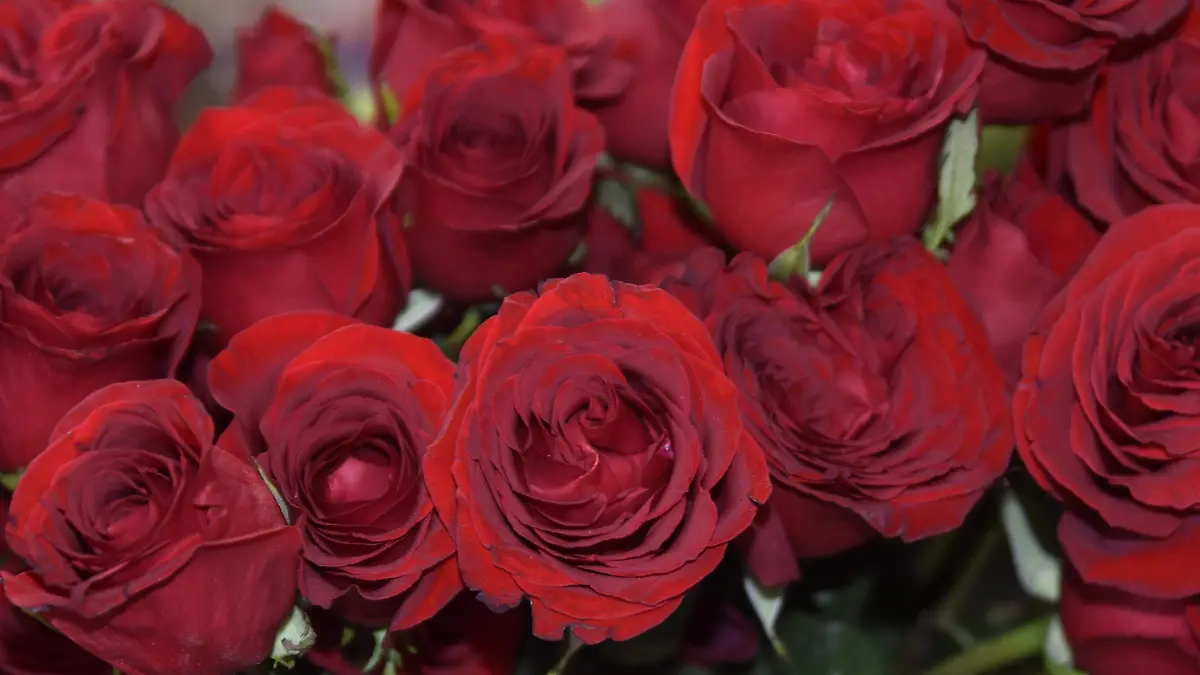 PARA ESTE 14 DE FEB. (2)