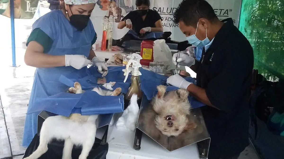 391750d7-f2c8-4d94-9031-ffe8211d4901