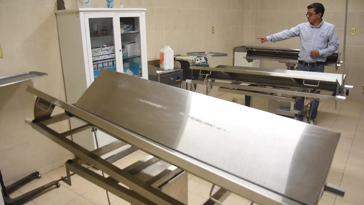 Abandono-de-perros (3)