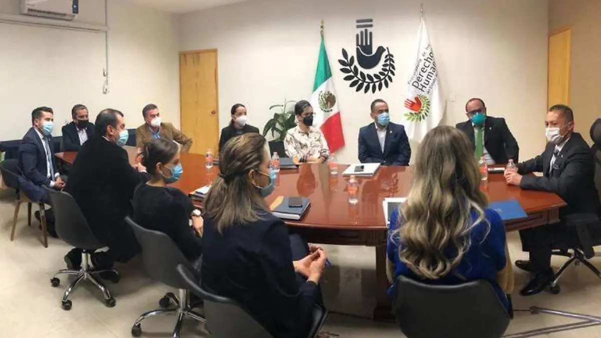 HAY TERNA PARA DESIGNAR DOS INTEGRANTES DE CONSEJO CONSULTIVO DE PDHEG1