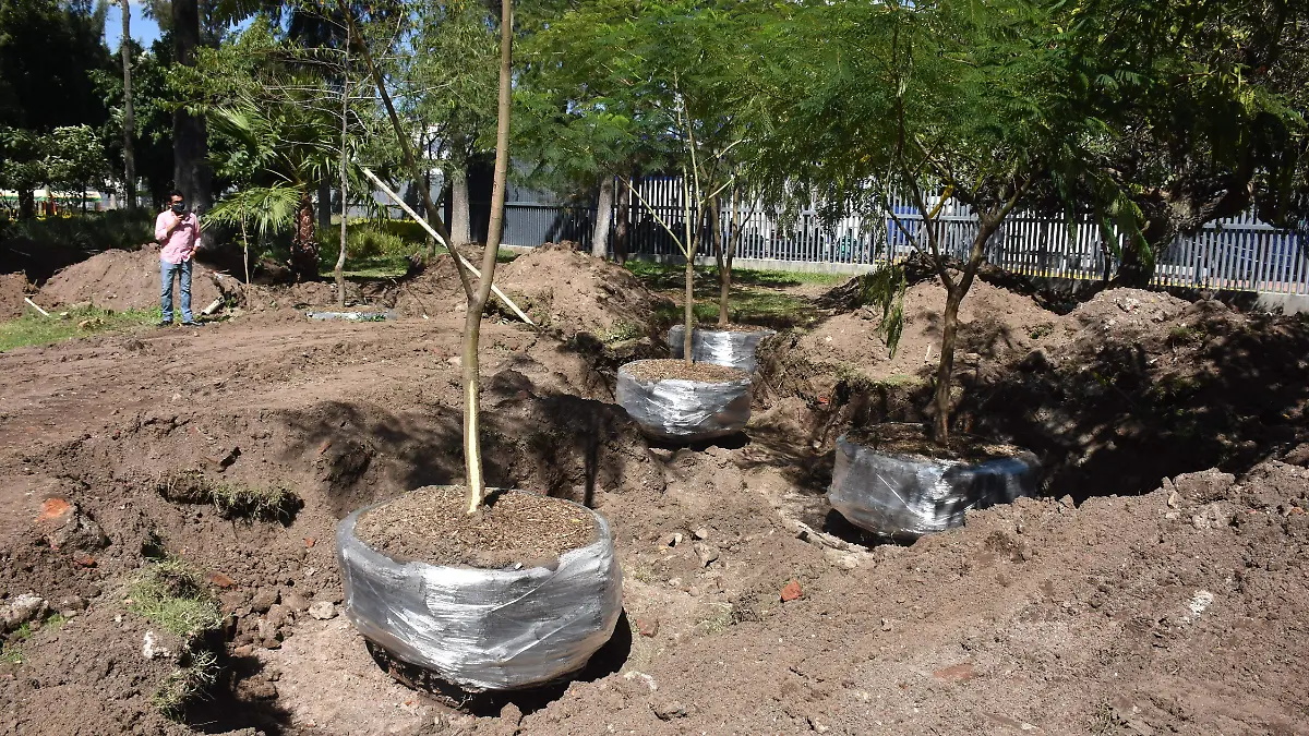 LOS ARBOLES