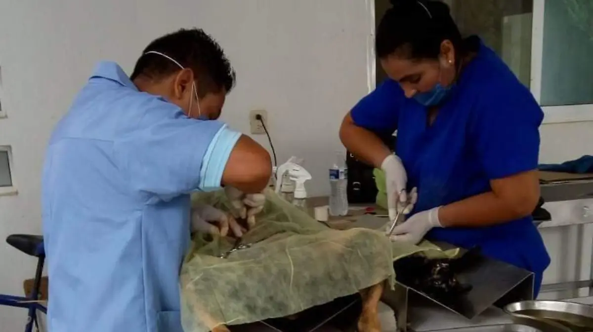 7065ed31-0bdb-4ebc-85c4-80cd338053e7