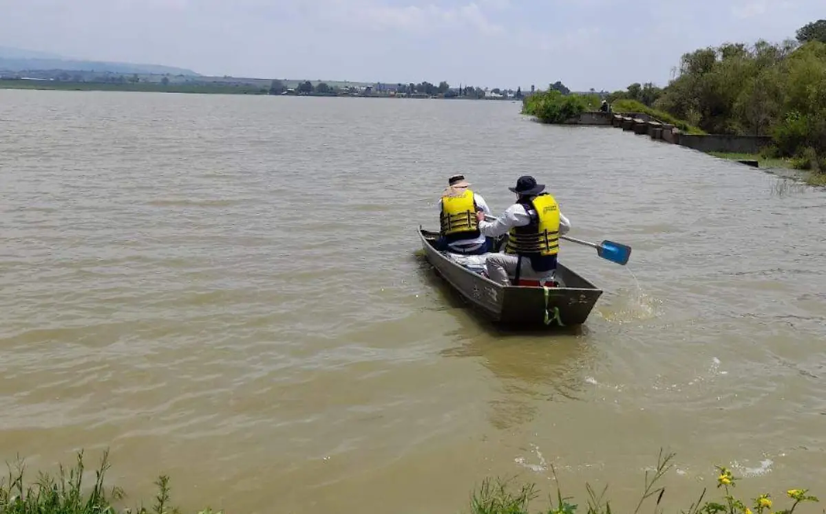 78f0db72-3d59-4bc0-8ac9-e79802e2bce9