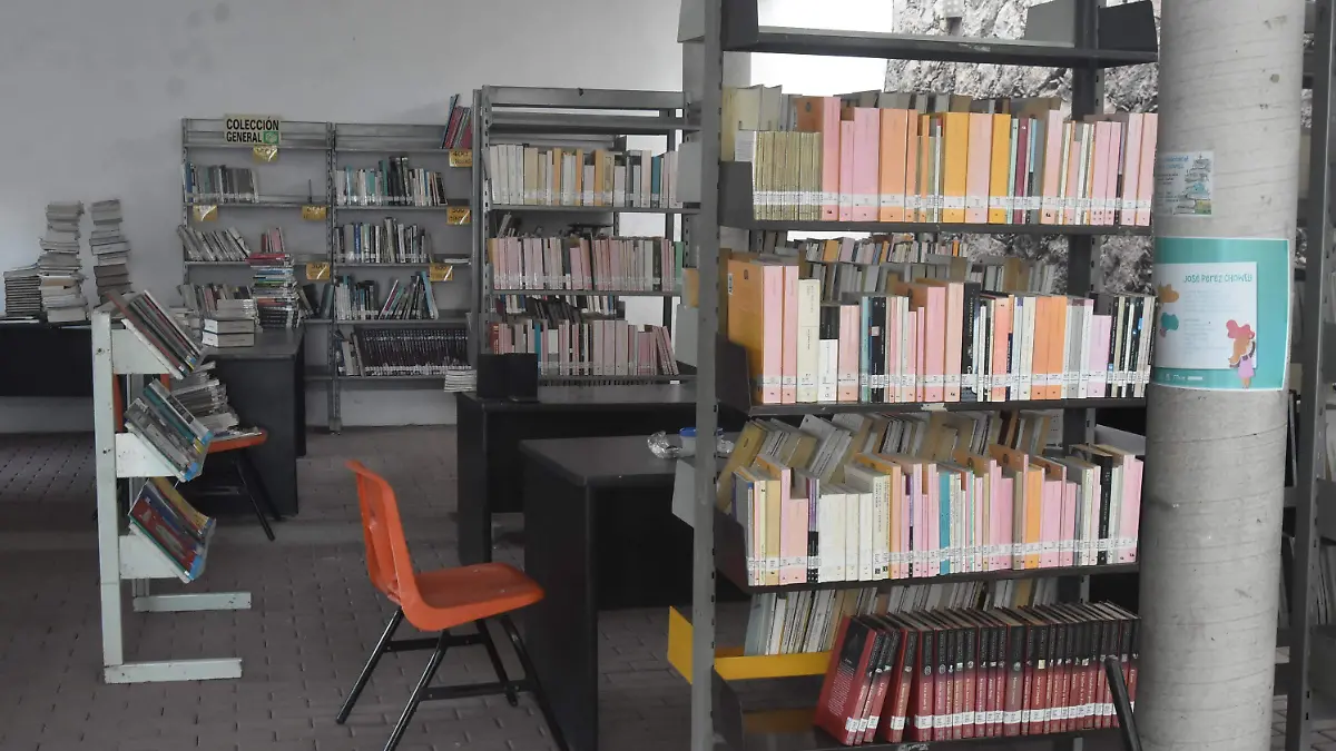 curzos-de-Verano (2)