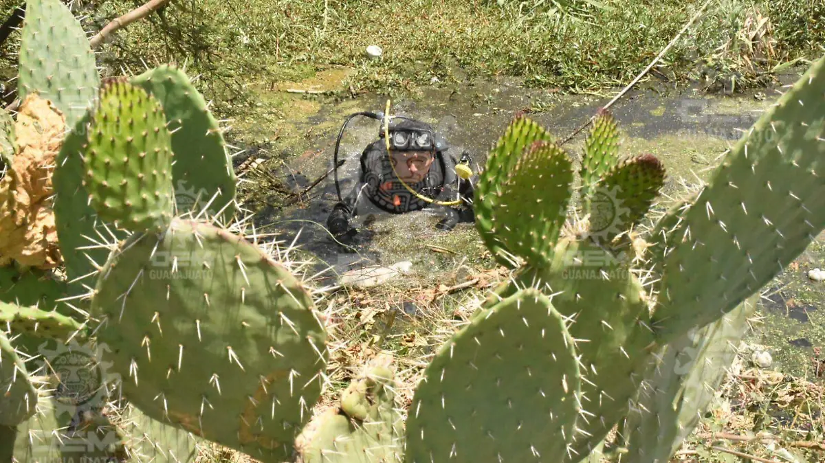 La-búsqueda-del-niño-4-okokok