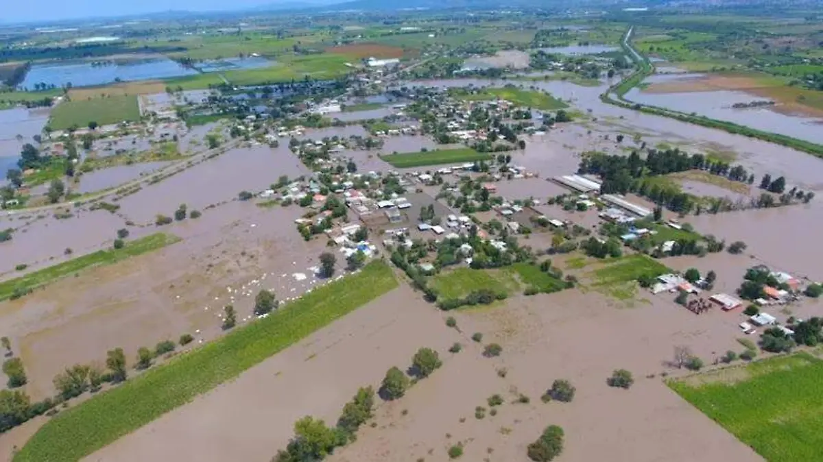 Abasolo-Será-Declarado