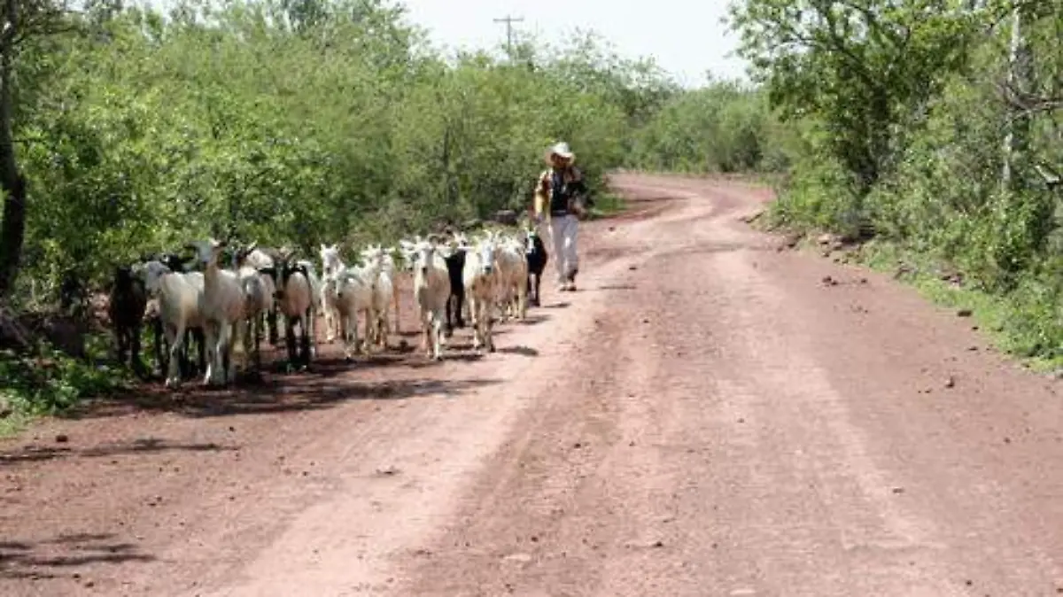 caminos rurales (1)