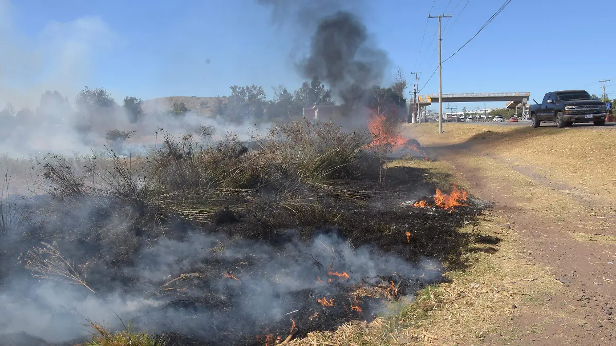 Incendios-provocados