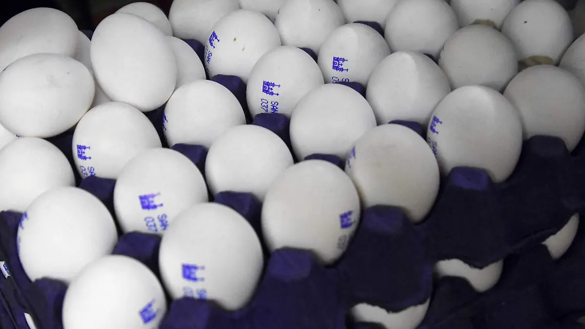 CANASTA-BÁSICA-(4)-JPG