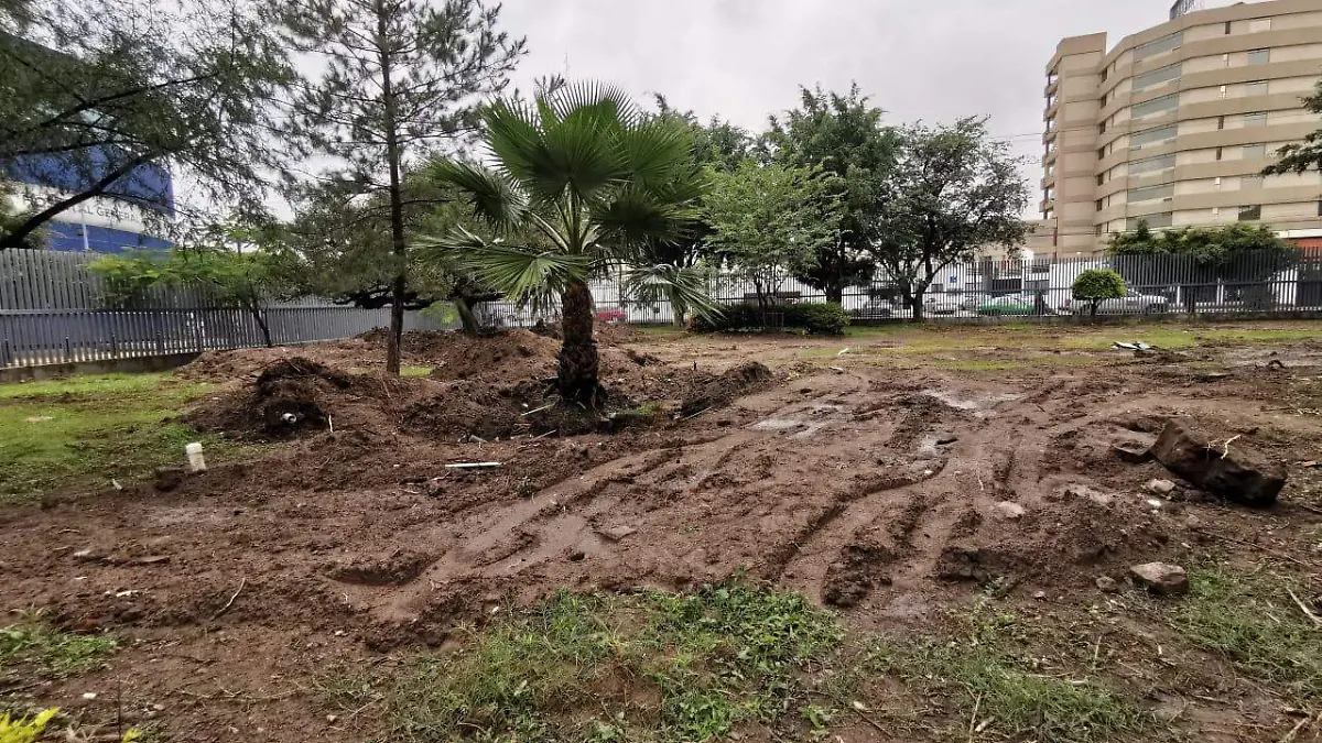 Torre-de-Consultorios (1)